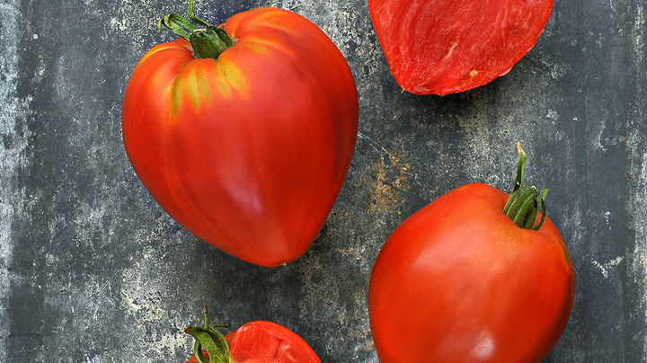 Tomatenvariëteiten selecteren